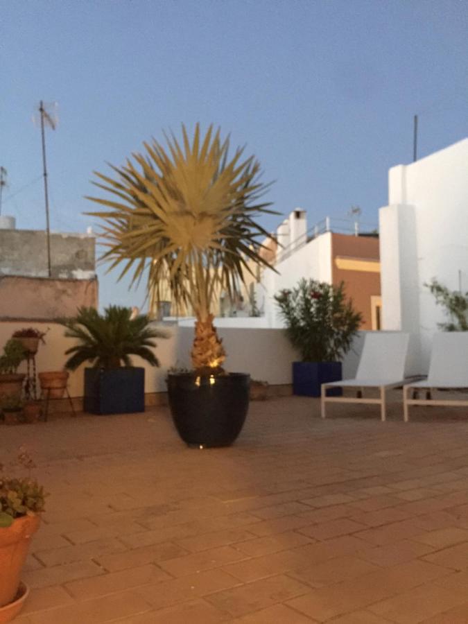 Apartament La Terraza De San Pedro Kadyks Zewnętrze zdjęcie